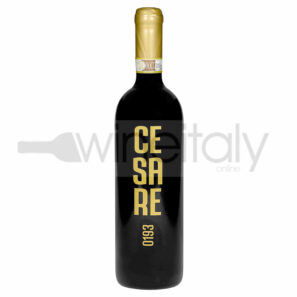 Cesare Gattinara Docg 2018 · Anzivino