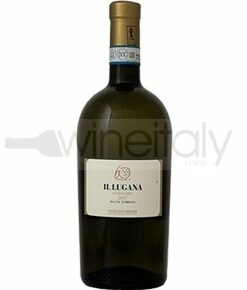 Il Lugana Bio Doc 2023 San Giovanni Pasini