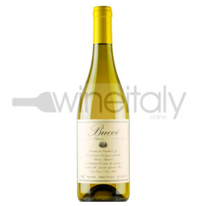 Verdicchio Classico Superiore dei Castelli di Jesi Doc 2022 · Villa Bucci