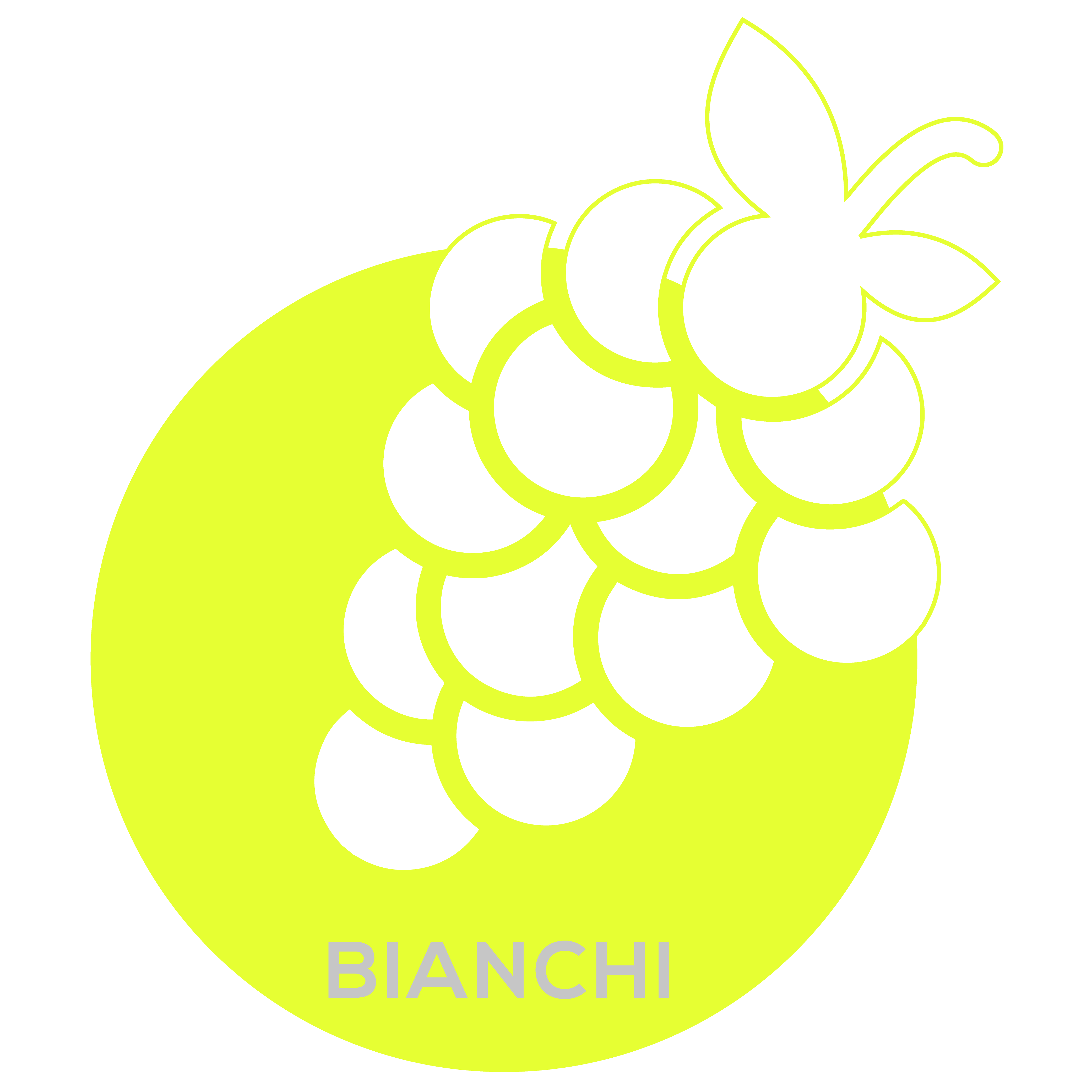 BIANCHI