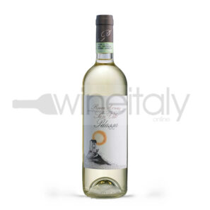 Roero Arneis San Vito docg 2023 · Az. Agr. PELASSA